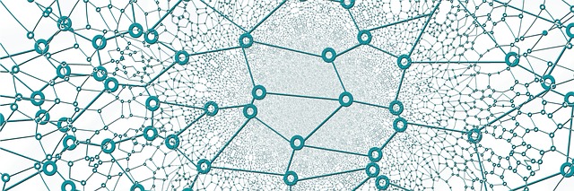 A network - similar to how a graph database looks like